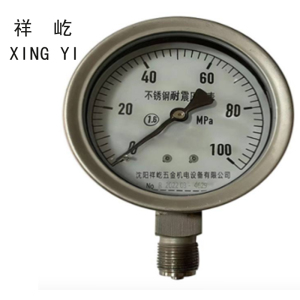 祥屹 不锈钢耐震压力表 YN100BF 块