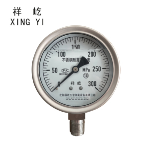 祥屹 不锈钢耐震压力表 YN100BF 块