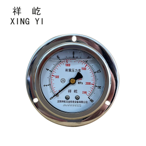 祥屹 耐震压力表(轴向带边) YN60ZT 块