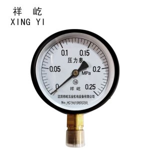 祥屹+压力表检测定制型+Y100+块