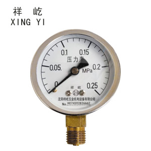 祥屹+压力表检测定制型+Y60+块