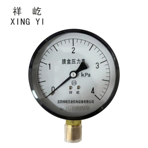 祥屹+膜盒压力表检测定制型+YE60+块