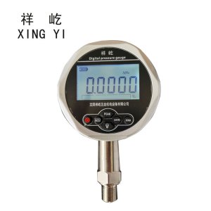 祥屹+精密数字压力计 精密数字压力表检测定制型+YS100 0.05级 +台