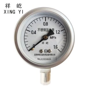 祥屹+不锈钢压力表检测定制型+Y60BF +块