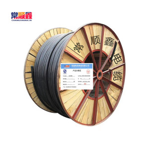 常顺鑫 低压铜芯电缆ZC-YJV22 3×120+1×70 米