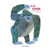 信谊图画书·宝宝起步走纸板书:从头动到脚