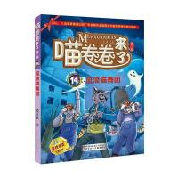 喵卷卷来了11:流浪猫舞团