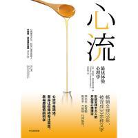 心流:最优体验心理学