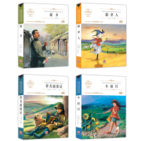4册青少版文学经典 稻草人 故乡 小桔灯 苦儿流浪记