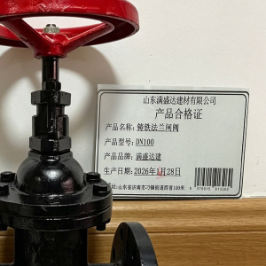 满盛达建 铸铁法兰闸阀 个