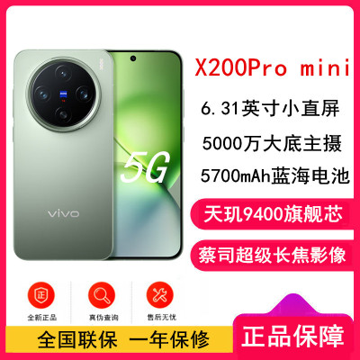 vivo X200 Pro mini 钛青 12GB+256GB 天玑9400芯 5G 蔡司超级长焦90W快充 5700毫安大电池 手机