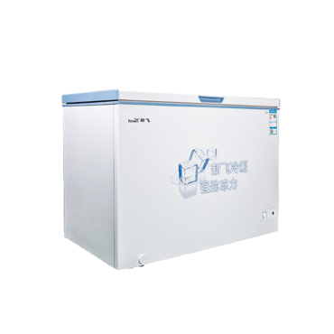 新飞(frestec)202升单温深冷家用商用冰柜 保鲜节能省电 冷藏冷冻转换