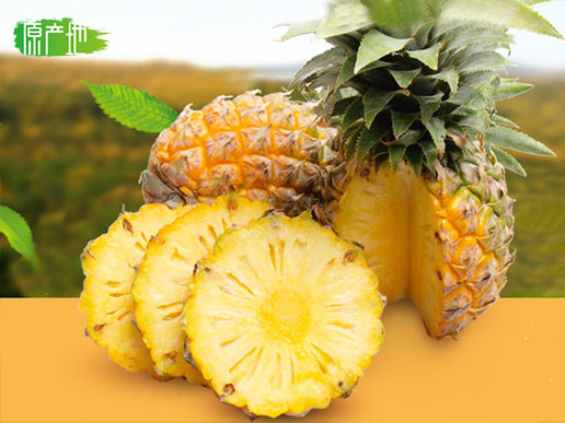 米又 云南河口菠萝 香菠萝 5斤